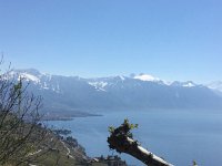 2017-04-29 12-19-33 c1cf3cdf